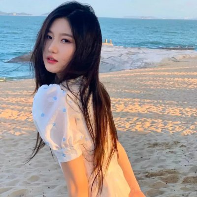 大象家族